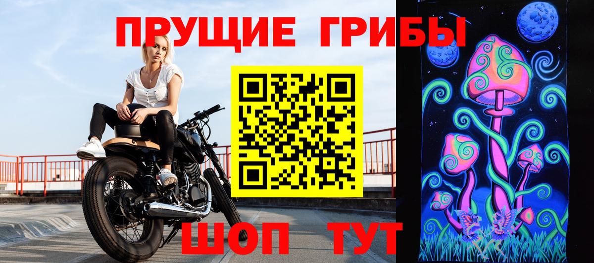 Псилоцибиновые грибы Cubensis Новый Уренгой