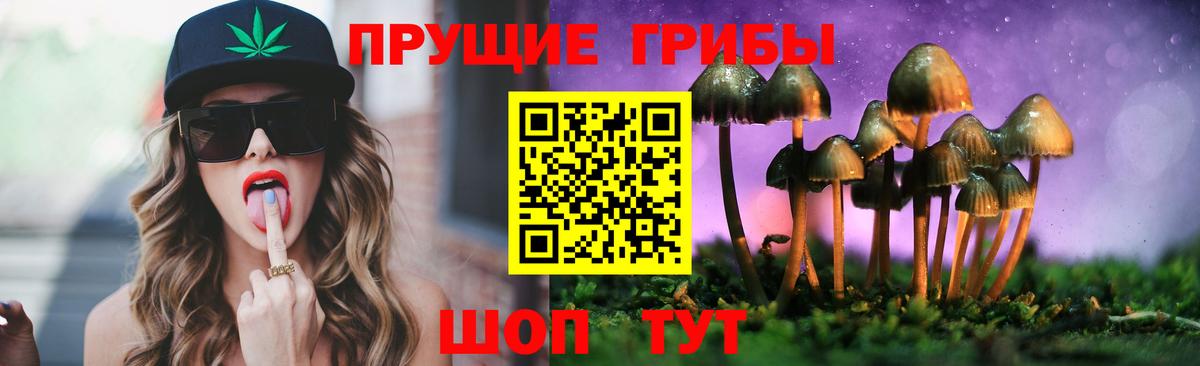 Псилоцибиновые грибы Magic Shrooms  Вход с VPN  Псилоцибиновые грибы Magic Shrooms  Новый Уренгой 
